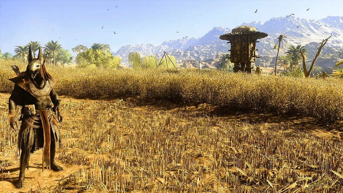 Assassin's Creed: Origins — Кинематографическая графика