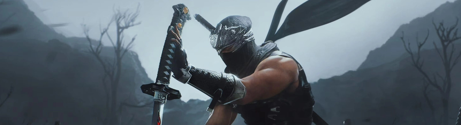 Ninja Gaiden 2 Black - обложка игры